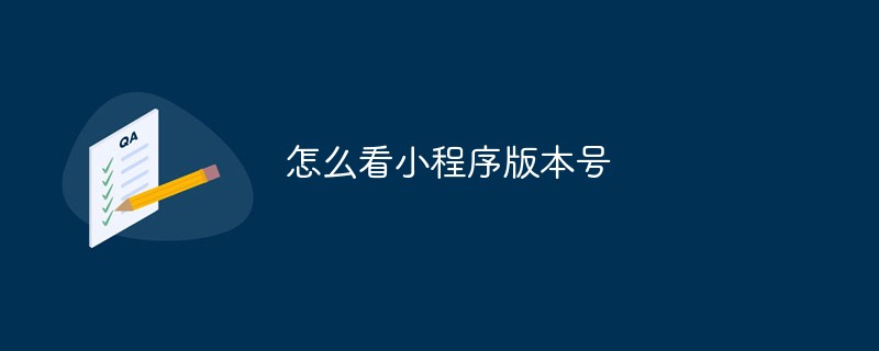 温州永嘉县怎么看小程序版本号